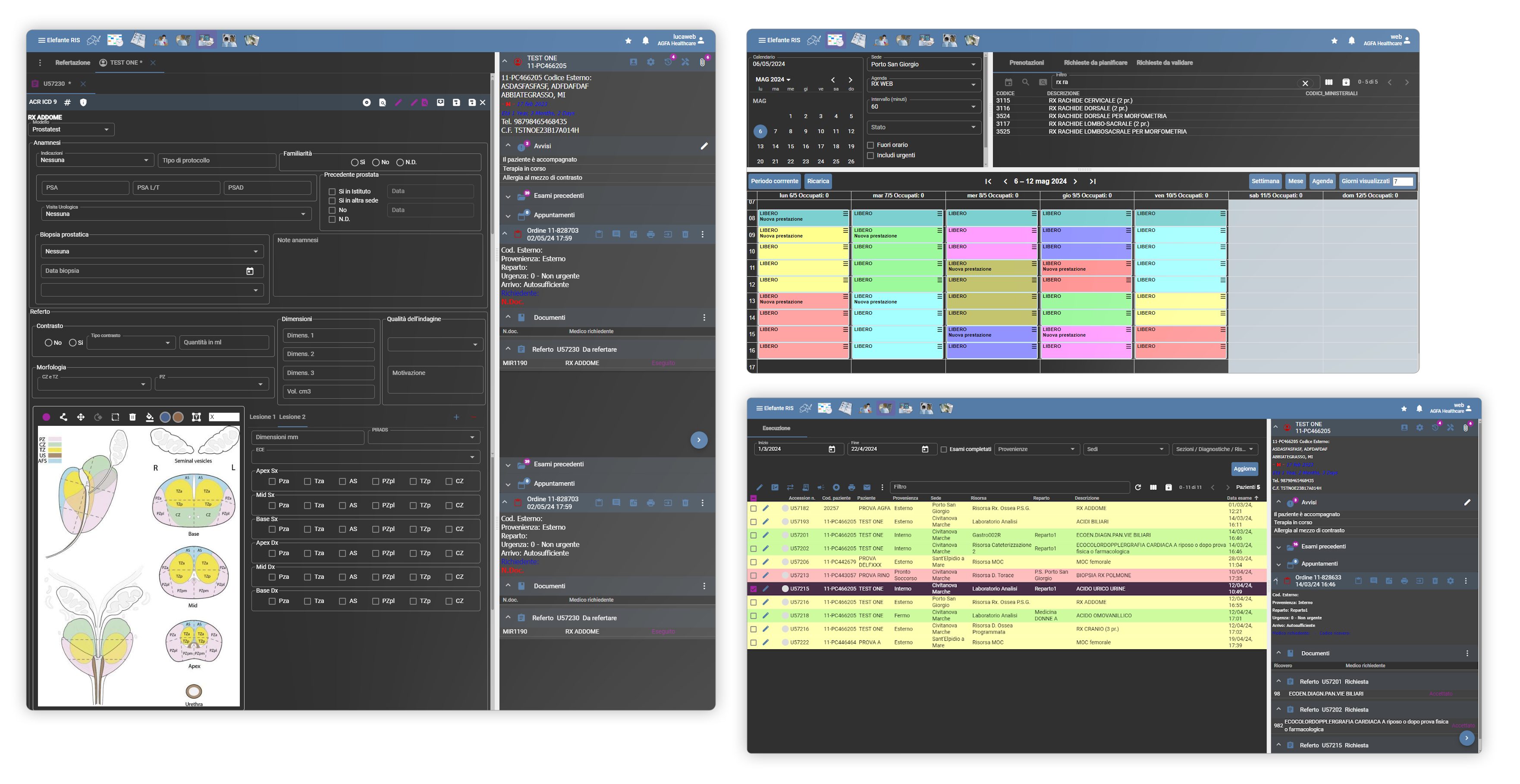 elefante UX screens AGFA HealthCare’s RIS Elefante.NET®