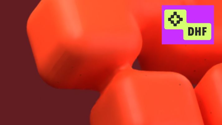 DHF 2025