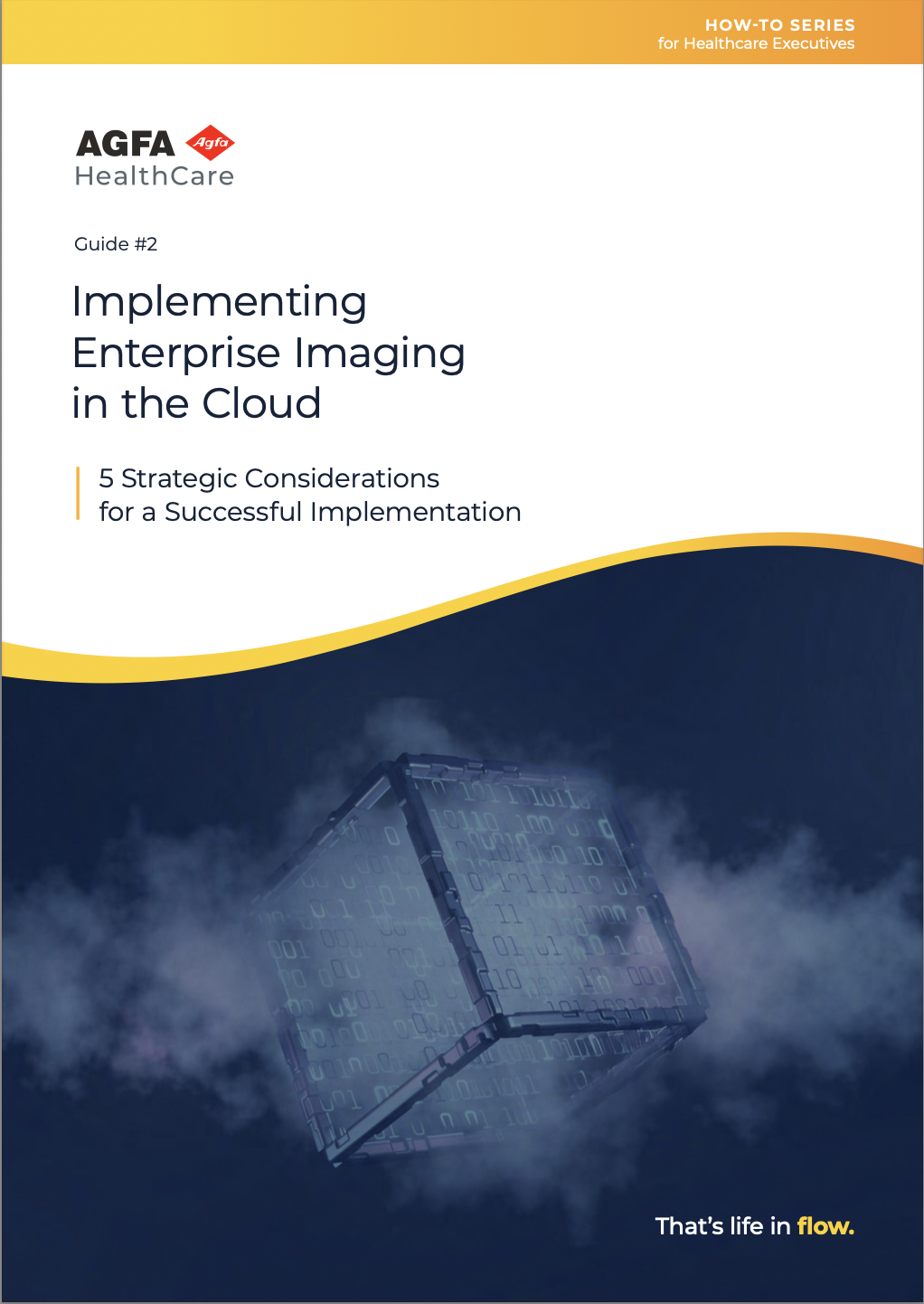WHITE PAPER: How-To Series for Healthcare Executives: Implementing Enterprise Imaging in the Cloud